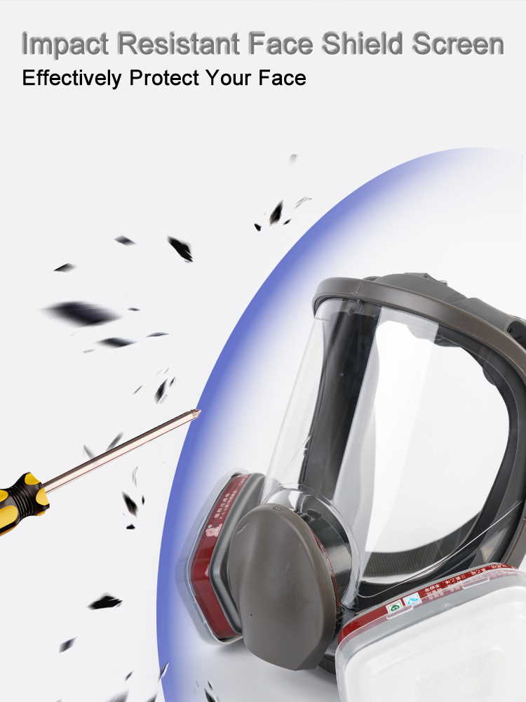 Respirateur à gaz complet 6800 - Dust Mask Construction avis et prix